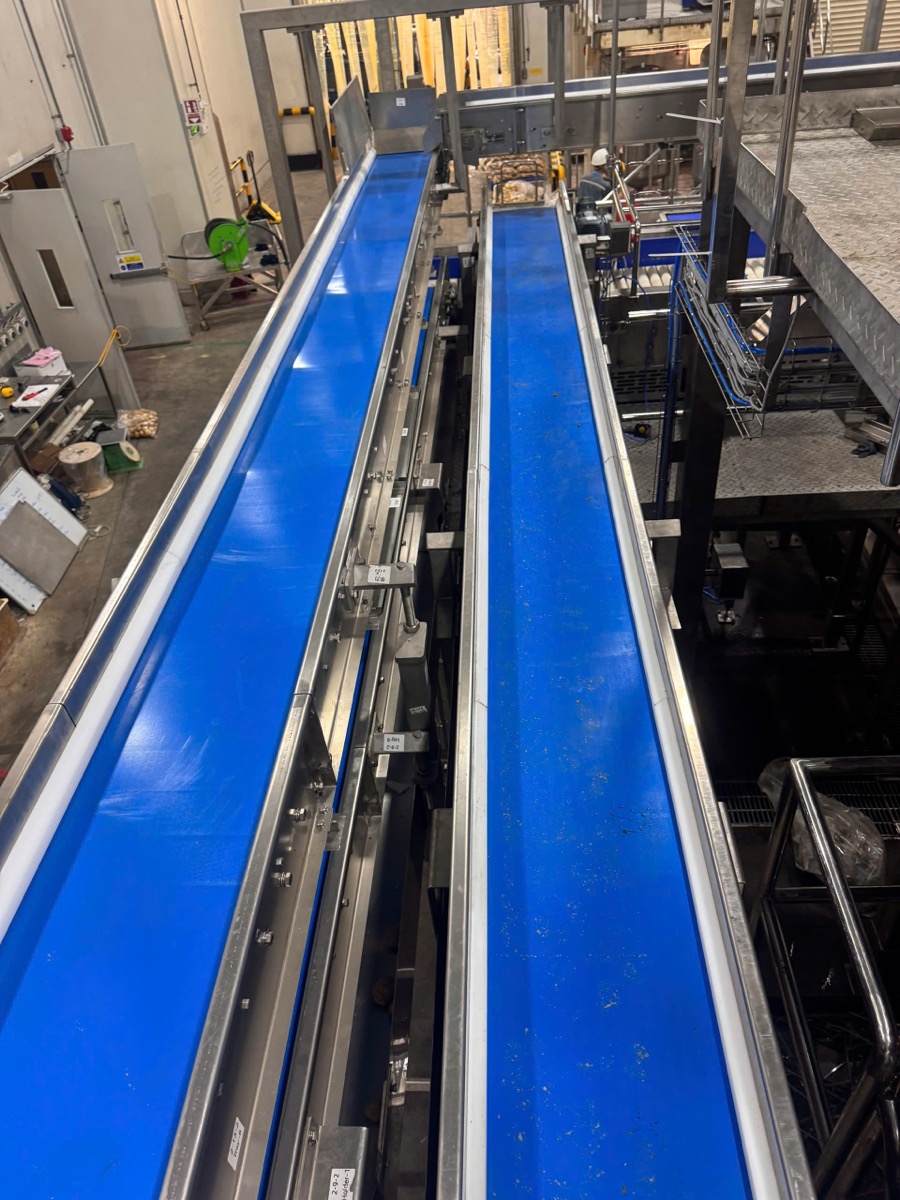 Sormac blue plastic conveyor system