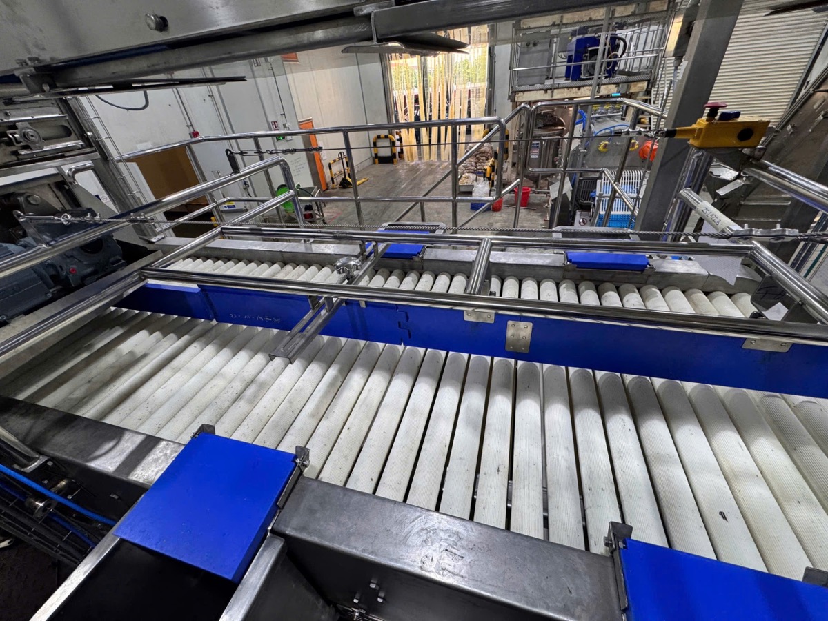 Potato sorting roller conveyor